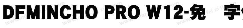 DFMINCHO PRO W12字体转换